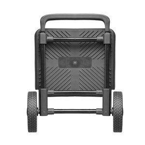 Opvouwbare draagbare platformwagen Verdikte ijzeren buis 250W motor 10-20Ah batterij 30-50 km/u Snelheid 100kg Draagvermogen Buitengebruik - Product Image 5