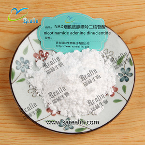 Groothandel B-<span class=keywords><strong>Nicotinamide</strong></span> <span class=keywords><strong>Adenine</strong></span> <span class=keywords><strong>Dinucleotide</strong></span> Nad Supplement 99% Nad Poeder - Product Image 2