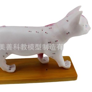 Modelo de acupuntura para gatos, modelo de acupuntura para perros, puntos de acupuntura para animales, acupuntura animal, enseñanza veterinaria de anatomía animal - Product Image 4