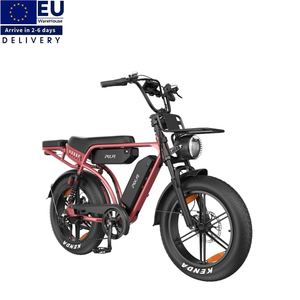 Vélo électrique à double batterie 48V 35Ah, 250W, pneus larges 20 pouces, vitesse 25 km/h, vélo électrique adulte, Fatbike, entrepôt UE - Product Image 1