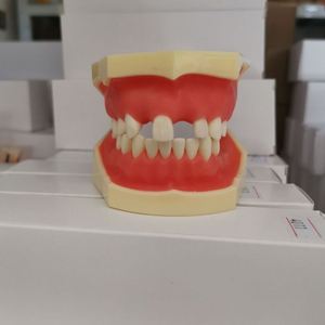 Modello di impianto dentale KyrenMed con edentulismo parziale nelle mascelle superiori e inferiori denti modello di pratica mancante - Product Image 3