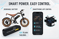 Vélo électrique M20, pneus larges 20x4.0, batterie amovible 48V 1500W, contrôle par application, style cyclomoteur, vente en gros pour concessionnaires OEM