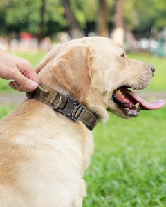 Personalized Logo & Color Nylon Solid Color Dog <b>Collar</b> and Leash Set for Medium/Large Dogs Tactical Training - Product Image 6