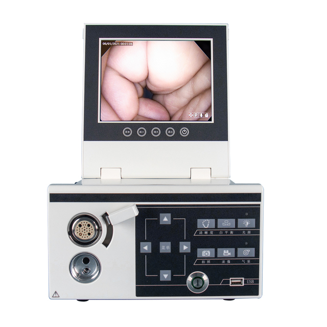 Portable Vet Gastroscope Camera Video Gastroscope Endoscope for Pet Clinic Hospital, Dog Cat Animal Veterinary Scope Equipment