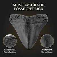 Dent de Requin Mégalodon Géante Sculpture en Résine Peinte à la Main Fossile Décoration Maison Cadeau Collectionneur
