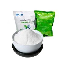 Agent de refroidissement en poudre Ws23 pour chewing-gum, bonbons, poudre cristalline Ws-23, saveur fraîche