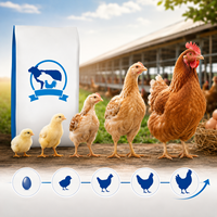Aliment composé de haute qualité SAIK à 5 % pour la phase de poussage des poulets de chair et favorisant la croissance et le développement des poussins de chair