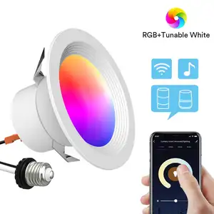 ETL RGB Lampu Sorot Bawah Tersembunyi 6 Inci 10W, Lampu Retro Cocok untuk Rumah 5 atau 6 Inci, Lampu Wi-Fi LED Bisa Kontrol Aplikasi Kompatibel dengan Alexa