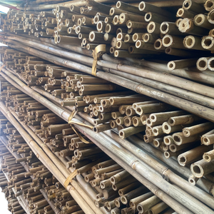 ไม้เท้าไผ่ยั่งยืนสำหรับการจัดการพืชเรือนกระจก - Product Image 1