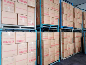 Granul Bawang Putih Kering Bubuk Panggang Kupas Kemasan Massal Langsung dari Pabrik - Product Image 4