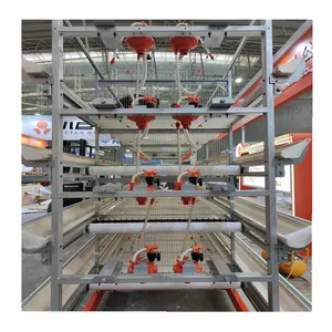 New Design Ventilate Battery Broiler Cage Automatic Manure Removal Cage