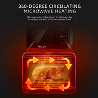 Four à micro-ondes Haley 20L Cuisine multifonctionnelle en acier inoxydable pour ménage Hôtel Boîtier en verre électrique Fonction grillade