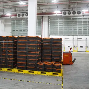 Stockage frigorifique mangue fruits entrepôts frigorifiques à vendre chambre froide prix Malaisie