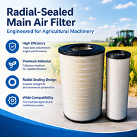 Filtre à air de haute qualité pour machines agricoles P548900 P548901 P546614 243968A1 pour tracteurs et moissonneuses-batteuses Case IH