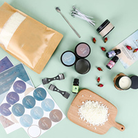 Les fournitures de kit de fabrication de bougies professionnelles offrent un kit complet de fabrication de bougies