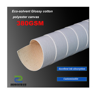Toile en polycoton brillante éco-solvant 380 g/m², toile imprimée, toile tendue pour impression jet d'encre, pour peinture décorative