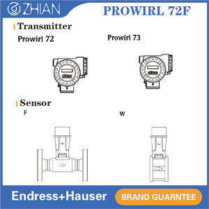 Compteurs de débit numériques E+H 72F15 DN15 pour la mesure du débit de volume de gaz, prix d'usine, support OEM personnalisé - Product Image 1