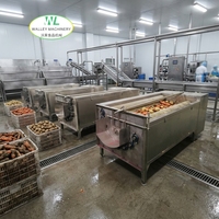 HXJ Automatische Motor Aardappel Wortel Gember Schil- en Wasmachine met Rolborstel