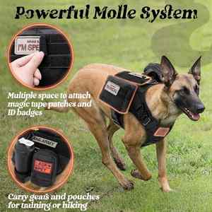 Correa Táctica para Perro de Fábrica, Resistente, con Asa, Ajustable, Antitirones, para Entrenamiento, Caza y Paseo, Color Negro Sólido - Product Image 5