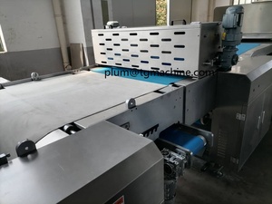 Four à tunnel de cuisson à bande en acier de 600 mm de largeur pour la fabrication de biscuits et de gâteaux Four à tunnel à convection à air chaud au gaz - Product Image 4