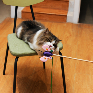 RPET Wand-Butterfly Eco-Friendly Fashion Modern Custom <span class=keywords><strong>Catnip</strong></span> Chew Toy para gatos Cute Cartoon Design Ejercicio - Product Image 6