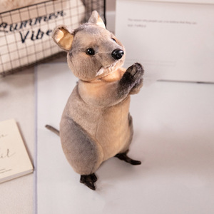 Adorables Peluches de Animales: <span class=keywords><strong>Mapache</strong></span>, Nutria, Canguro, Muñecos de Peluche para Niños, Regalos Perfectos de Cumpleaños - Product Image 2