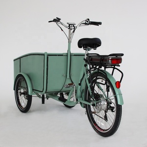 Bicicleta Eléctrica retro de carga, de aluminio, de alta calidad, de 500w, Estilo vintage - Product Image 3