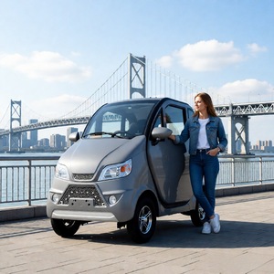 Triciclo Eléctrico Leo de 2 Plazas, Carrocería Cerrada, Motor de 1000w, Velocidad Máxima de 40 km/h, Batería Incluida, para Uso Recreativo de Personas Mayores - Product Image 2