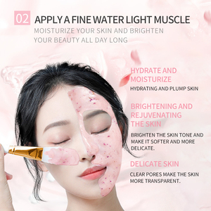 Maschera idratante viso vegano all'ingrosso in polvere maschera di gelatina idratante - Product Image 2