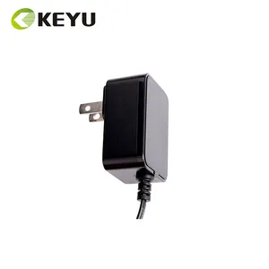 Güç adaptörü 100-240V giriş 24V 0.5A 500MA 0.6A 0.8A Output çıkış Ac Dc güç adaptörü