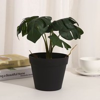 Pot de fleurs en plastique multicolore, jardinière générale pour plantes, pots et jardinières pour plantes d'intérieur, plantes en pot de bureau
