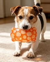 Juguetes para Perros de Material TPR, Populares, Interactivos, Tamaño Mediano, para Uso en Interiores y Exteriores
