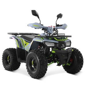 Tao <span class=keywords><strong>Motor</strong></span> 2024 Off-Road Farm Barato Gas Powered Cuatrimoto Quadricycle <span class=keywords><strong>Motor</strong></span> automático <span class=keywords><strong>de</strong></span> 4 tiempos 110cc 125cc ATV para niños - Product Image 4