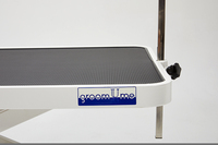 Mesa de Peluquería Canina Eléctrica de Perfil Bajo, de Acero Inoxidable, Segura y Fácil de Usar, con Motor Silencioso e Impermeable, YM-D001
