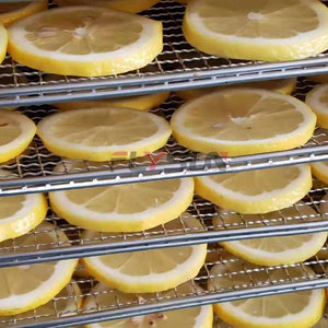 Gran oferta, horno de secado de naranjas, Máquina secadora de naranjas, Máquina secadora de frutas, deshidratación de limón naranja - Product Image 2