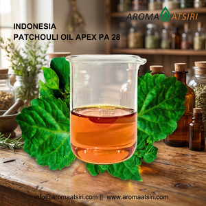 Huile Essentielle de Patchouli Indonésien Premium APEX 28 de Haute Qualité, Parfum Sucré, Herbacé et Boisé, issue de la Plante Pogostemon Cablin - Product Image 2