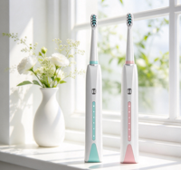 Brosse à dents électrique sonique rechargeable, charge de type C, 30 000 vibrations par minute, soins bucco-dentaires à domicile