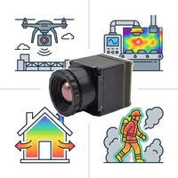 Module d'imagerie thermique pour drones FPV prêt à l'emploi avec double interface CVBS et USB-C disponible en résolution 256/384/640