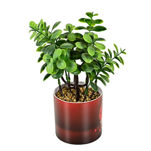 Vente chaude transfrontalière <span class=keywords><strong>2023</strong></span>, plante artificielle, verdure, décoration intérieure et extérieure, eucalyptus en pot en plastique imprimé en <span class=keywords><strong>3D</strong></span>, petites plantes - Product Image 6