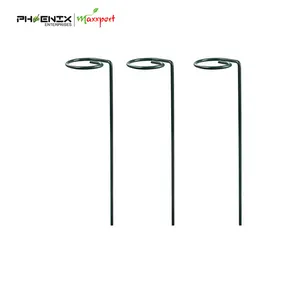 Single Stem Plant Support Garden Stake Steel Metal Flower Plant Support Peony Orchid Lily Rose Support