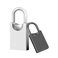Clé USB miniature en métal de luxe en forme de cadenas, interface USB 2.0/3.0, logo personnalisé, porte-clés pour coffret cadeau, garantie 1 an