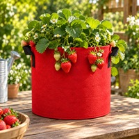 Sacs de culture robustes en tissu non tissé avec poignées, pots de jardin de 10 et 20 gallons pour légumes et tomates, vente en gros