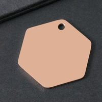 Placa de Identificación Personalizada para Mascotas con Grabado Láser Hexagonal, Etiqueta de Acero Inoxidable en Blanco para Perros, Colgante de Metal con Logotipo Personalizado