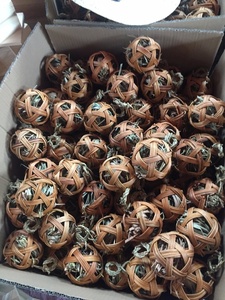 ลูกบอลกระต่ายของเล่นสำหรับสัตว์เลี้ยงแบบโต้ตอบและเคลื่อนไหวได้ - Product Image 6