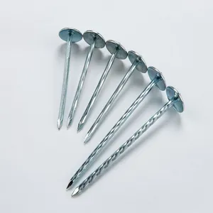 Zinc Plated Umbrella Head Roofing Nail for Africa Market galvanized steel roof truss gang nail plates