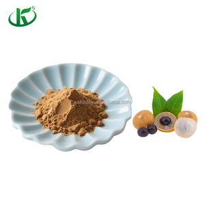 Bubuk jus Longan alami murni bubuk instan minuman buah Longan Aril Ekstrak organik bubuk jus lengkeng untuk minuman - Product Image 1