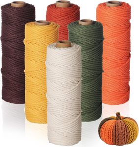 Cuerda de Macramé de Algodón Reciclado de 3MM, Trenzada y Retorcida, para Manualidades, Venta al Por Mayor - Product Image 1