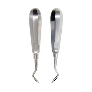 Elevador de Extracción Dental de Acero Inoxidable, Instrumento para Extracción de Raíces, para Cirugía Oral, Clínica Dental, Suministros para Consultorio Dental - Product Image 6