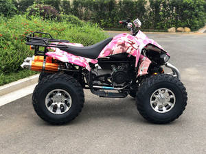 <span class=keywords><strong>Quad</strong></span> 4 roues camouflage <span class=keywords><strong>rose</strong></span>, 4 temps, tout-terrain, avec porte-bagages arrière pour loisirs en plein air, 200cc ATV - Product Image 6