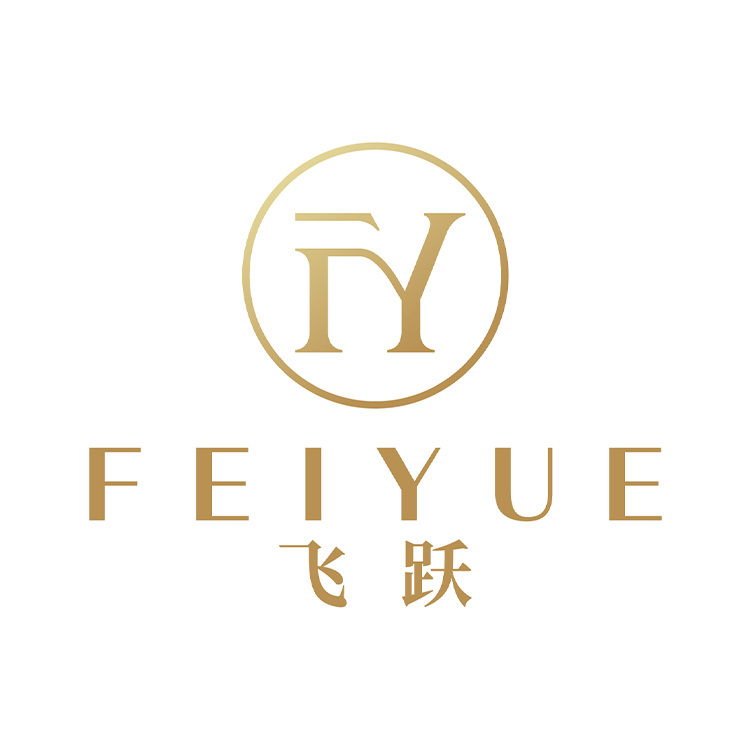 Tianjin Feiyue Technology Co., Ltd. logo